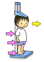 馬の身長の測り方